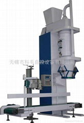 Bucket Packing Machine With Twin Screw