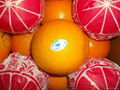 navel orange 4