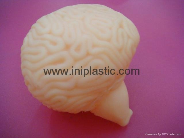 educational toys plant vinyl brains brain model plastic brains simulation brains 3