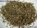 we are a petware shop which supply kinds of  catnip cat food dog food cat grass 