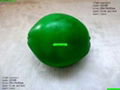 we manufacture toy coconut simulated coconut palm toy coconut fruit