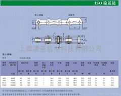 瑞诺德空心销链条