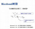 沙多玛助剂Ricobond17