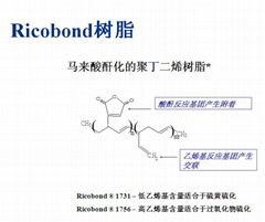 沙多玛助剂Ricobond1756hs