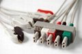 philips 5 lead wires