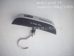 LUGGAGE SCALE