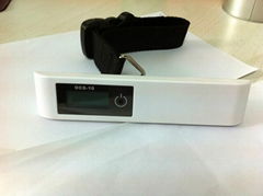 luggage scale