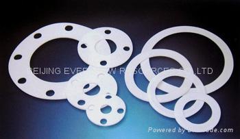 PTFE GASKET