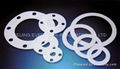 PTFE GASKET