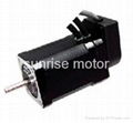 BLDC SERVO MOTOR 42BLS3A45 1