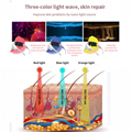 光譜儀七色折疊韓國補鈣光譜儀光動力LED美容儀器祛痘PDT彩光 5