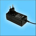 36W EU Wall mount Switching AC/DC Adapters 