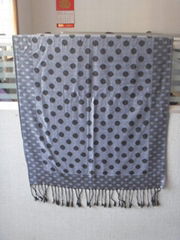 pashmina shawl 