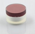 100g plastic  acrylic double wall cream