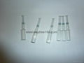 2ml Clear and Amber Chinese Standard Ampoule 5