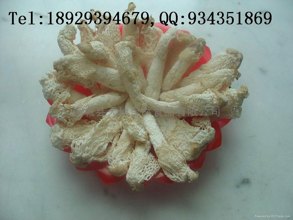 Dehydration edible fungus silk 4