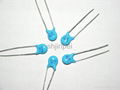 RC2 Radial Lead Ceramic Capacitor