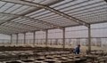Polycarbonate sheet in corrugated sheet used for roof daylighting 5