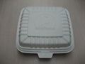 Biodegradable disposable lunch box   ,bio lunch box Canada,USA