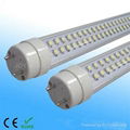 T8 tube light