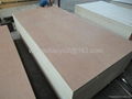 bintangor plywood for furniture