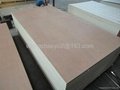 bintangor plywood for furniture 