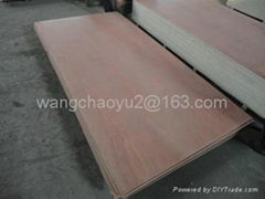  red hardwood  PLYWOOD 