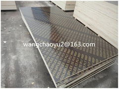 18mm  film faced plywood for Kuwait 