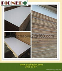 HPL PLYWOOD