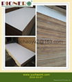 HPL PLYWOOD FOR KITCHEN 