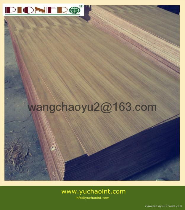 TEAK PLYWOOD FOR DOOR FURNITURE DUBAI UAE 1