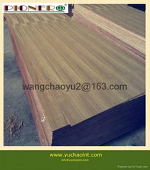 TEAK PLYWOOD FOR DOOR FURNITURE DUBAI UAE