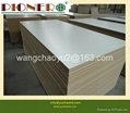 Melamine  plywood for Furniture  /cabinet 