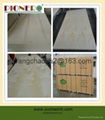 Pine Plywood (C+/C grade) for packing  2