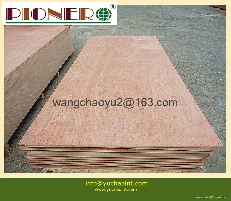 18mm red  plywood furniture plywood bintangor plywood 