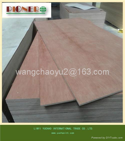 18mm red  plywood furniture plywood bintangor plywood  2
