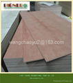 18mm red  plywood furniture plywood bintangor plywood  2