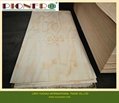 Pine Plywood (C+/C grade) for packing 
