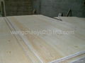 Pine Plywood (C+/C grade) for packing  1