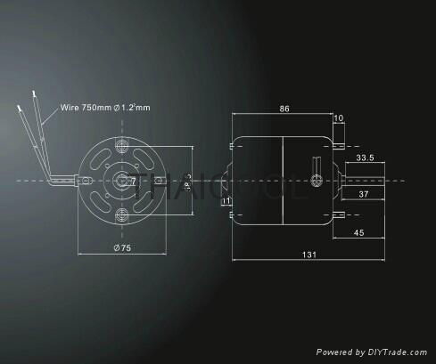 DC MOTORS-FW75 2