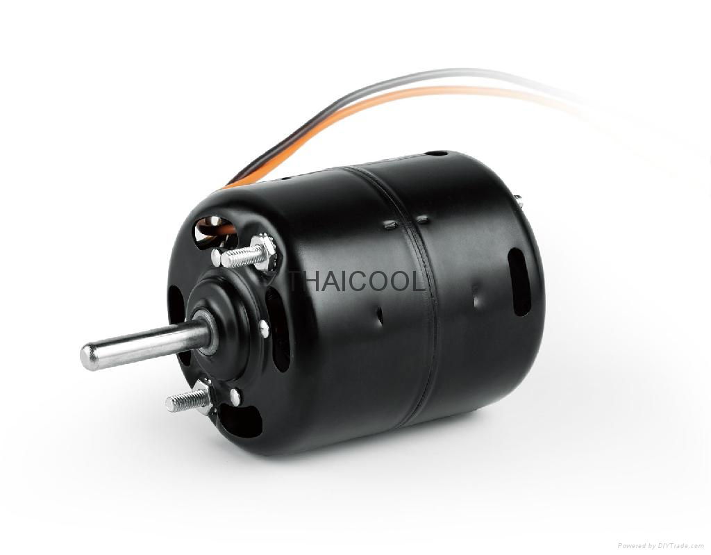 DC MOTORS-FW75