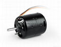 DC MOTORS-FW75