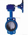 wafer type butterfly valves 1