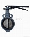 wafer type butterfly valves 3
