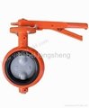 wafer type butterfly valves 4