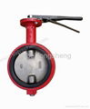 wafer type butterfly valves 5