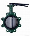 lug type butterfly valves