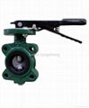 lug type butterfly valves 3