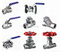 stainless steel valves