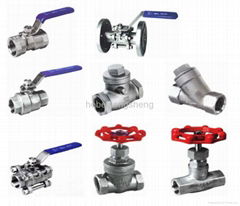 stainless steel valves